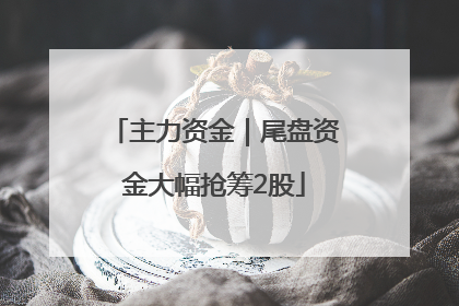 主力资金｜尾盘资金大幅抢筹2股