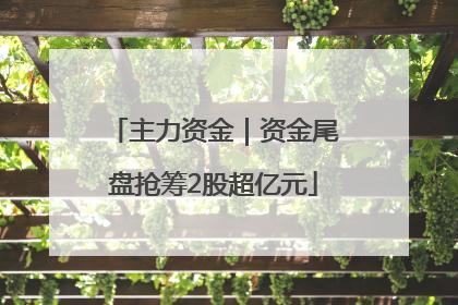 主力资金｜资金尾盘抢筹2股超亿元