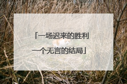 一场迟来的胜利 一个无言的结局