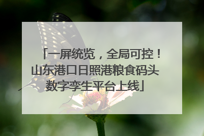 一屏统览，全局可控！山东港口日照港粮食码头数字孪生平台上线