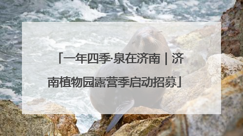 一年四季·泉在济南｜济南植物园露营季启动招募