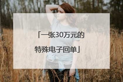 一张30万元的特殊电子回单