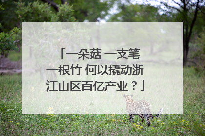 一朵菇 一支笔 一根竹 何以撬动浙江山区百亿产业？