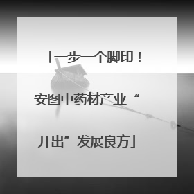 一步一个脚印！安图中药材产业“开出”发展良方