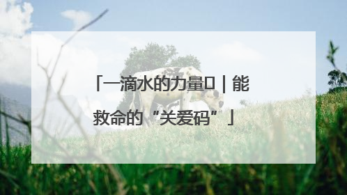 一滴水的力量㉖｜能救命的“关爱码”