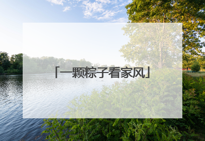 一颗粽子看家风