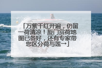 万紫千红开遍，仍留一荷清凉！厦门赏荷地图已备好，还有专家带您区分荷与莲→