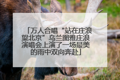 万人合唱“站在庄浪望北京”乌兰图雅庄浪演唱会上演了一场最美的雨中双向奔赴