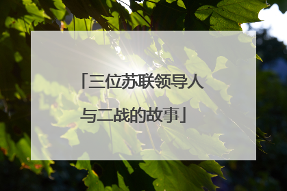 三位苏联领导人与二战的故事