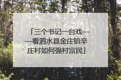 三个书记一台戏——看泗水县金庄镇辛庄村如何强村富民