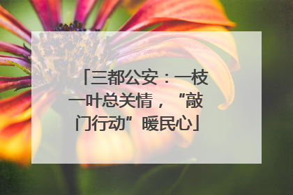 三都公安：一枝一叶总关情，“敲门行动”暖民心