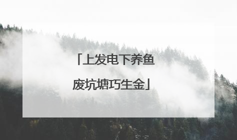 上发电下养鱼 废坑塘巧生金