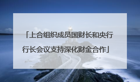 上合组织成员国财长和央行行长会议支持深化财金合作