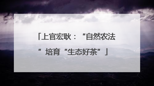 上官宏耿：“自然农法”培育“生态好茶”