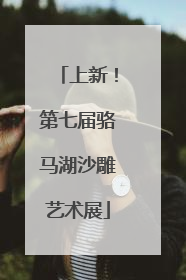 上新！第七届骆马湖沙雕艺术展