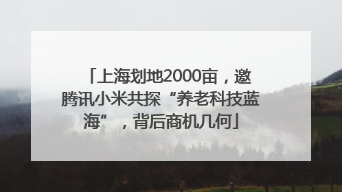 上海划地2000亩，邀腾讯小米共探“养老科技蓝海”，背后商机几何