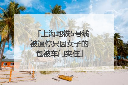 上海地铁5号线被逼停只因女子的包被车门夹住