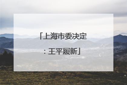 上海市委决定：王平履新