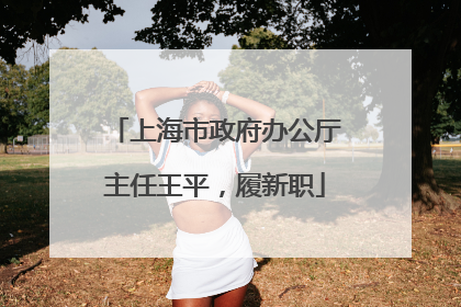 上海市政府办公厅主任王平，履新职