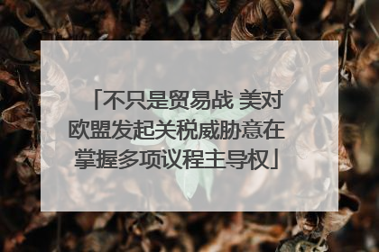 不只是贸易战 美对欧盟发起关税威胁意在掌握多项议程主导权