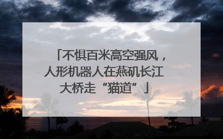 不惧百米高空强风，人形机器人在燕矶长江大桥走“猫道”