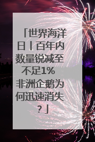 世界海洋日丨百年内数量锐减至不足1% 非洲企鹅为何迅速消失？
