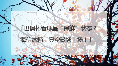 世俱杯看球星“保鲜”状态？海信冰箱：真空磁场上场！