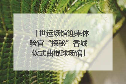 世运场馆迎来体验官“探秘”香城软式曲棍球场馆