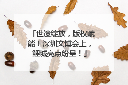 世遗绽放，版权赋能！深圳文博会上，鲤城亮点纷呈！