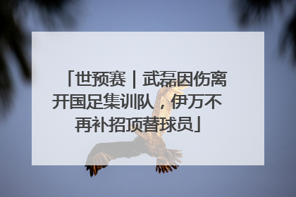 世预赛｜武磊因伤离开国足集训队，伊万不再补招顶替球员