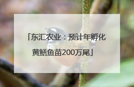 东汇农业：预计年孵化黄鳝鱼苗200万尾