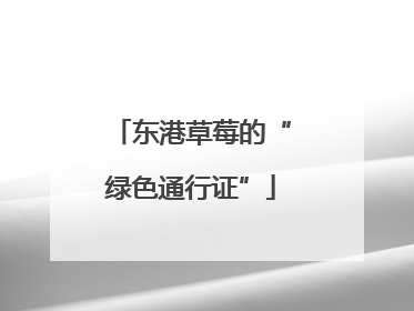 东港草莓的“绿色通行证”