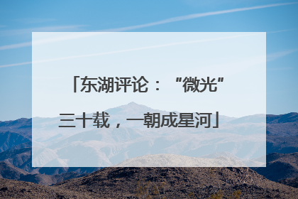 东湖评论：“微光”三十载，一朝成星河