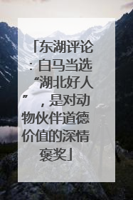 东湖评论：白马当选“湖北好人”，是对动物伙伴道德价值的深情褒奖