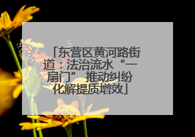 东营区黄河路街道：法治流水“一扇门” 推动纠纷化解提质增效