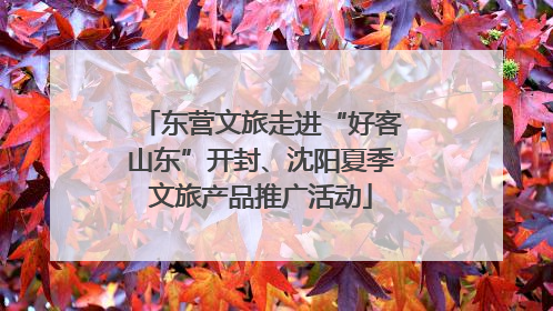 东营文旅走进“好客山东”开封、沈阳夏季文旅产品推广活动