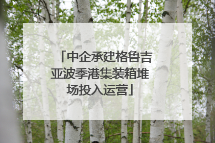 中企承建格鲁吉亚波季港集装箱堆场投入运营