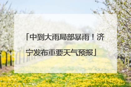 中到大雨局部暴雨！济宁发布重要天气预报