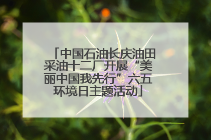 中国石油长庆油田采油十二厂开展“美丽中国我先行”六五环境日主题活动