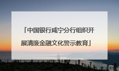 中国银行咸宁分行组织开展清廉金融文化警示教育