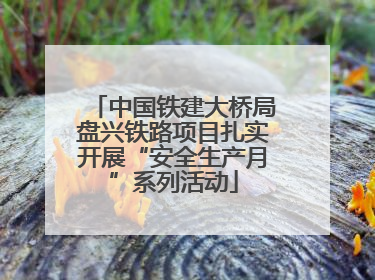 中国铁建大桥局盘兴铁路项目扎实开展“安全生产月”系列活动
