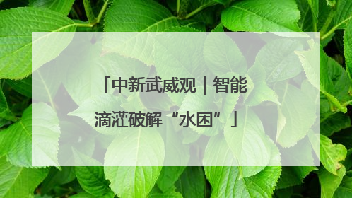中新武威观｜智能滴灌破解“水困”