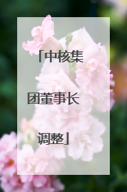 中核集团董事长调整
