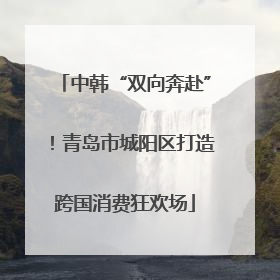 中韩“双向奔赴”！青岛市城阳区打造跨国消费狂欢场