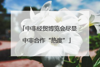 中非经贸博览会尽显中非合作“热度”