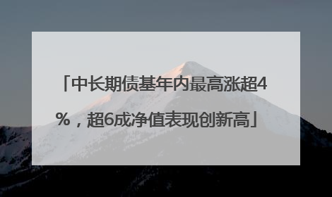 中长期债基年内最高涨超4%，超6成净值表现创新高
