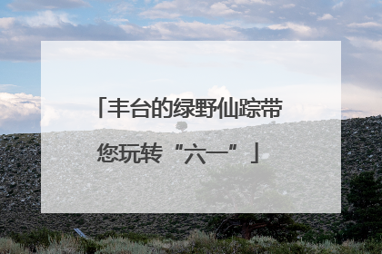 丰台的绿野仙踪带您玩转“六一”