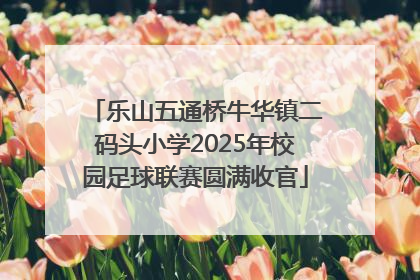 乐山五通桥牛华镇二码头小学2025年校园足球联赛圆满收官