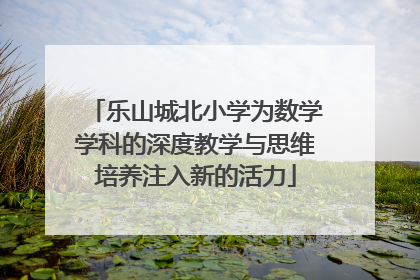 乐山城北小学为数学学科的深度教学与思维培养注入新的活力