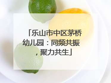 乐山市中区茅桥幼儿园：同频共振，聚力共生